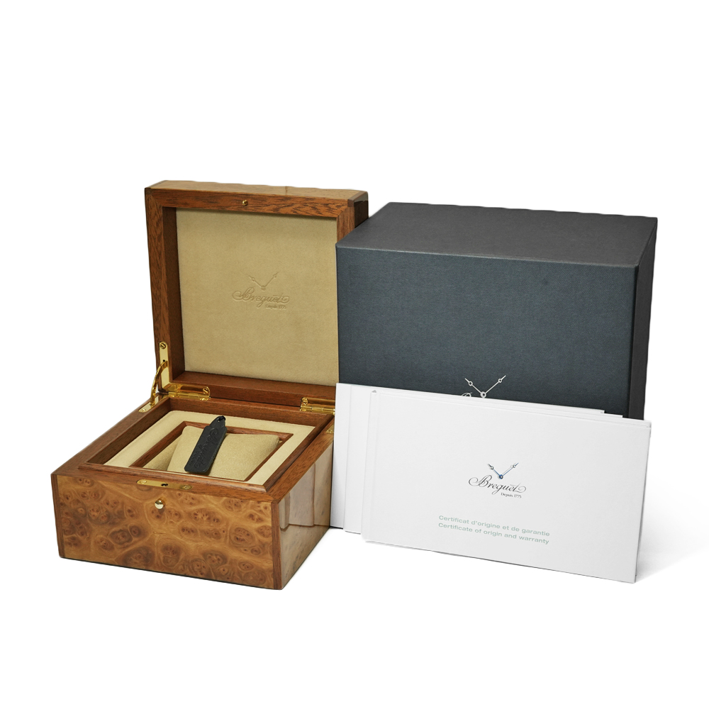 タイプ XXI 箱・2019年保証書付き Ref.3810TI/H2/TZ9 中古品 | MOLTS