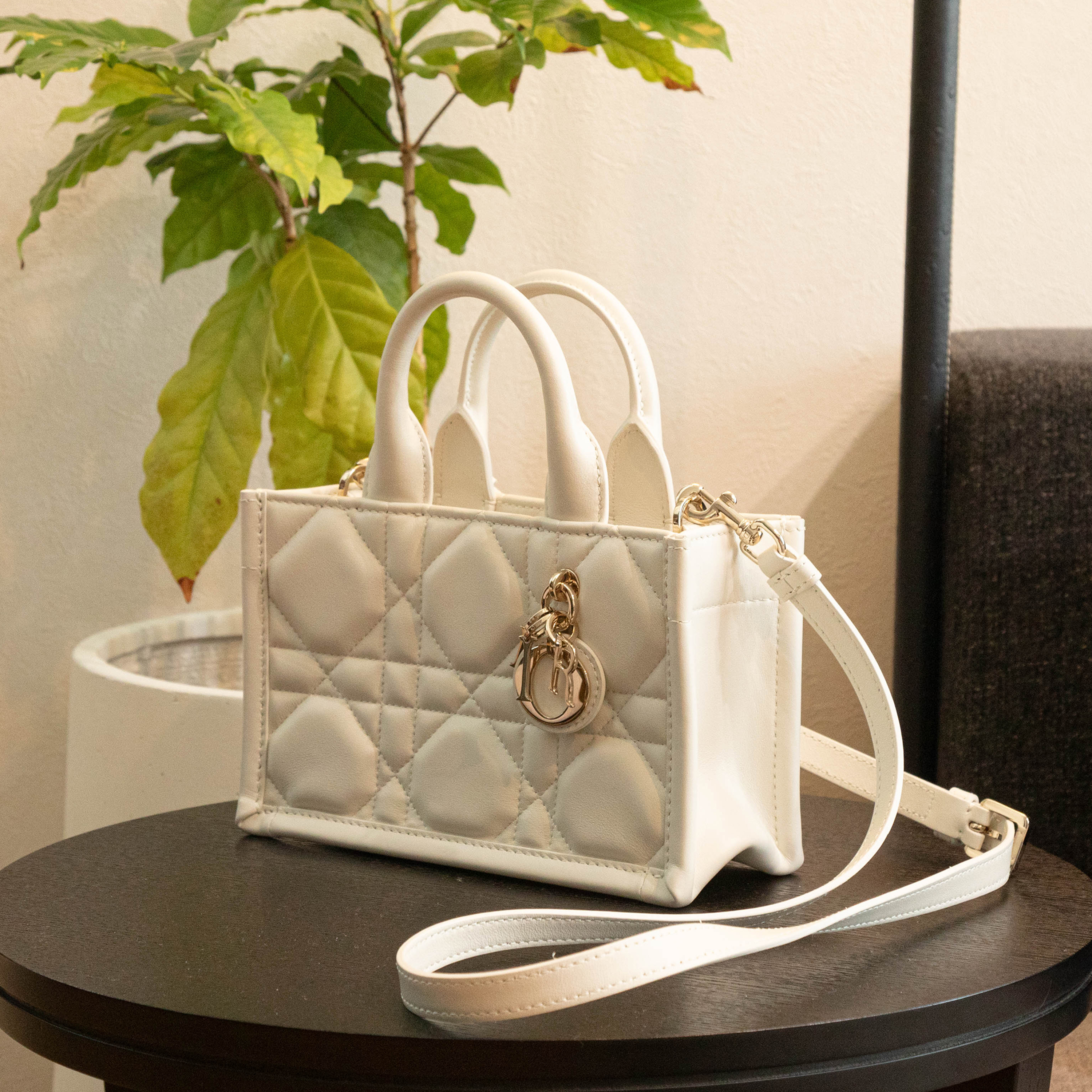 Dior, Book Tote Mini | MOLTS