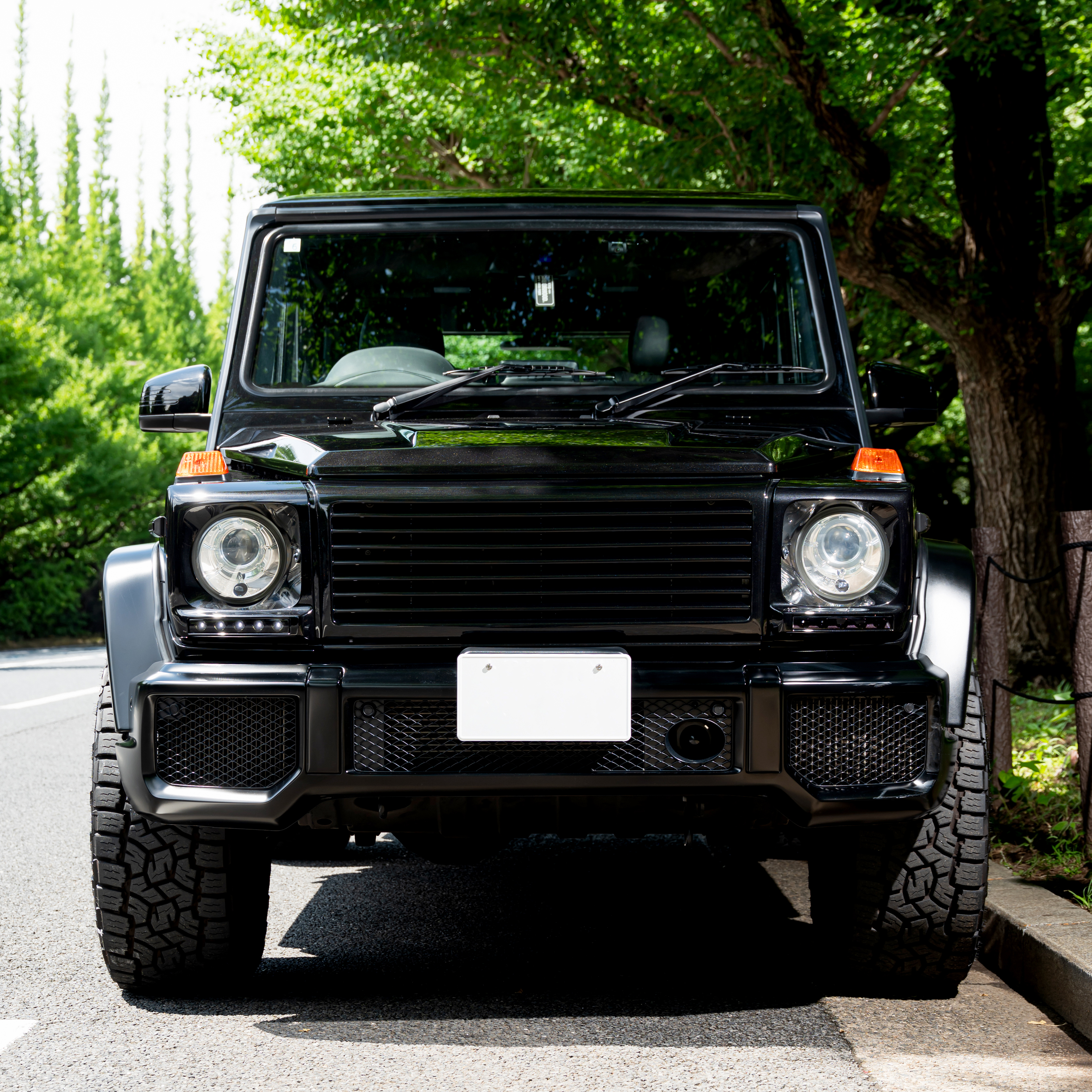 メルセデス・ベンツ G63 Amg / エディション 55/ ブラック | MOLTS